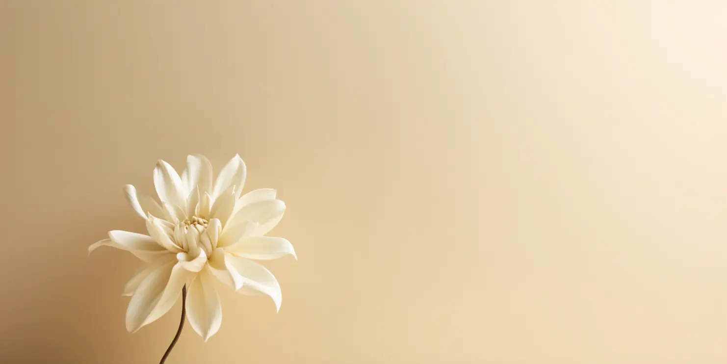 seedwebs_Beautiful_wallpaper_clean_look_bright_photo_8K_good_li_c4c40cab-38db-4b92-8b4d-ccf9b536f94e